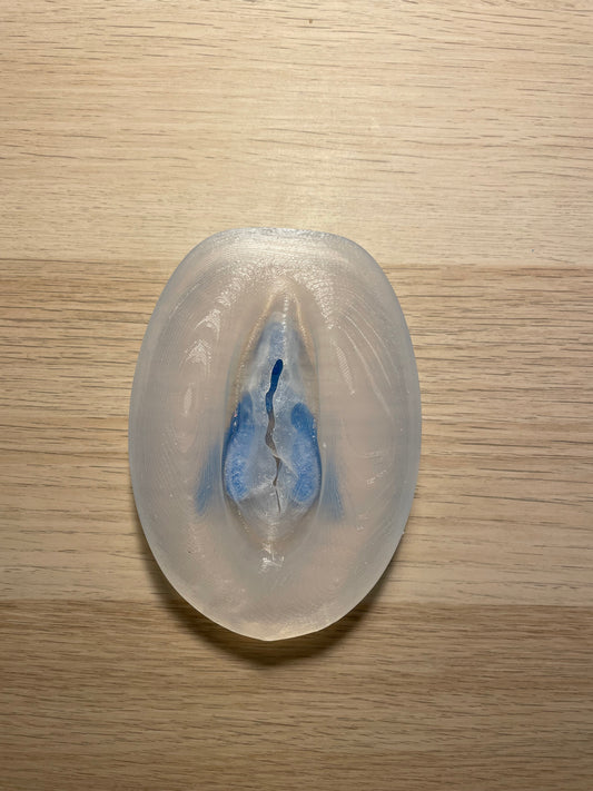 Vulva con Clitoride rimovibile